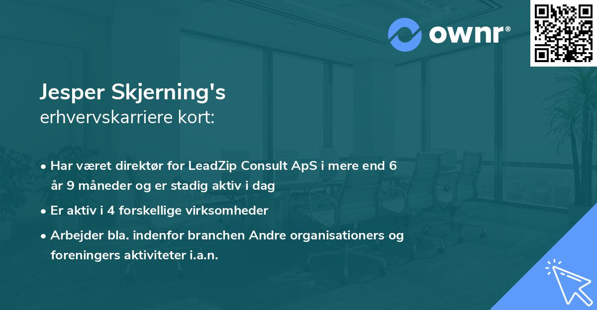 Jesper Skjerning's erhvervskarriere kort