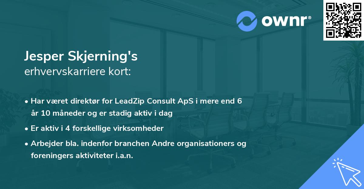 Jesper Skjerning's erhvervskarriere kort