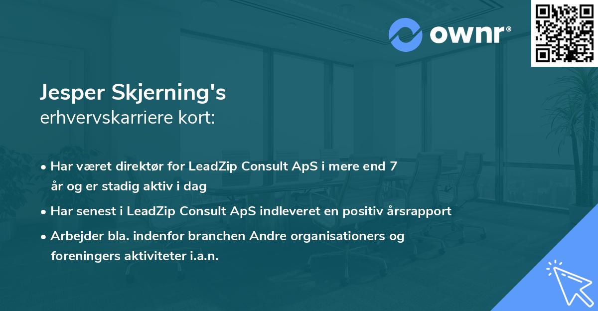 Jesper Skjerning's erhvervskarriere kort
