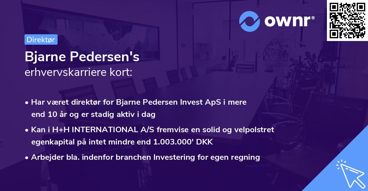 Bjarne Pedersen's erhvervskarriere kort