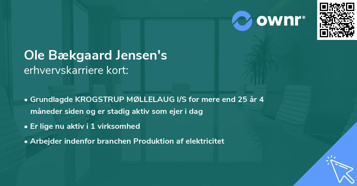 Ole Bækgaard Jensen's erhvervskarriere kort