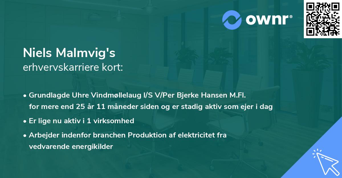 Niels Malmvig's erhvervskarriere kort