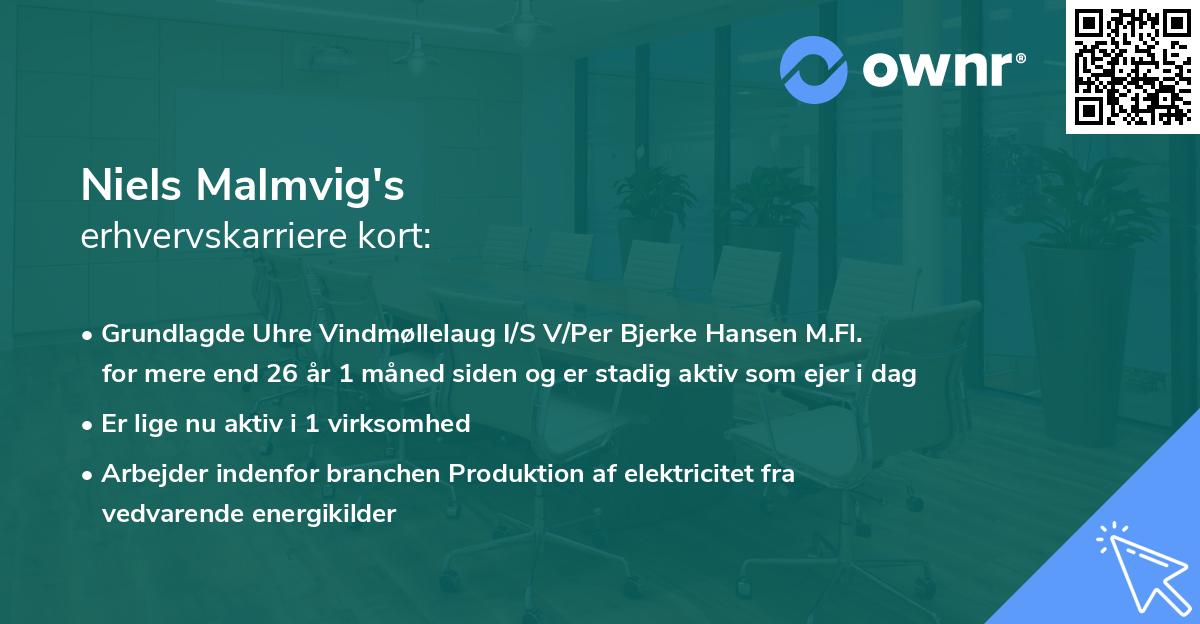 Niels Malmvig's erhvervskarriere kort