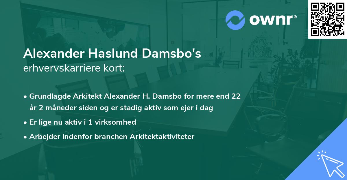 Alexander Haslund Damsbo's erhvervskarriere kort
