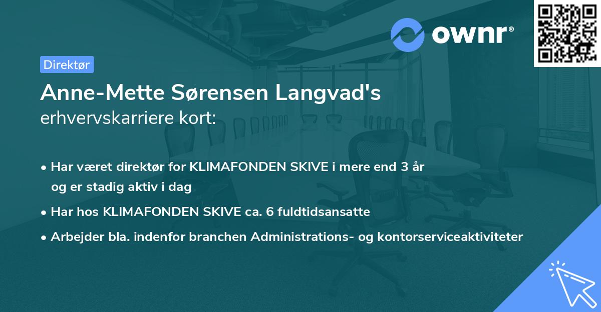 Anne-Mette Sørensen Langvad's erhvervskarriere kort