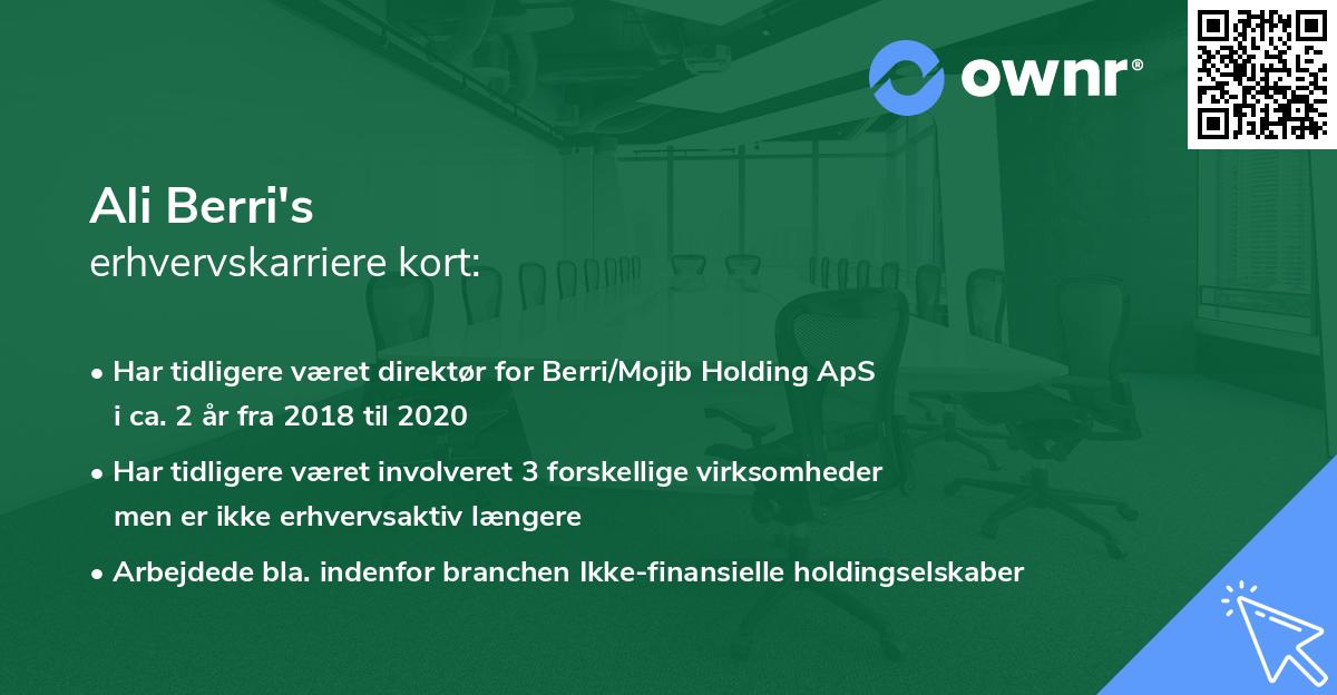 Ali Berri's erhvervskarriere kort