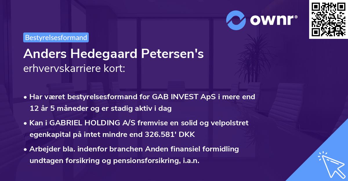 Anders Hedegaard Petersen's erhvervskarriere kort