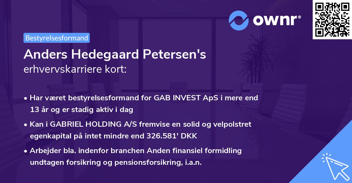 Anders Hedegaard Petersen's erhvervskarriere kort