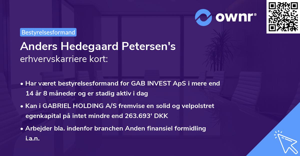 Anders Hedegaard Petersen's erhvervskarriere kort