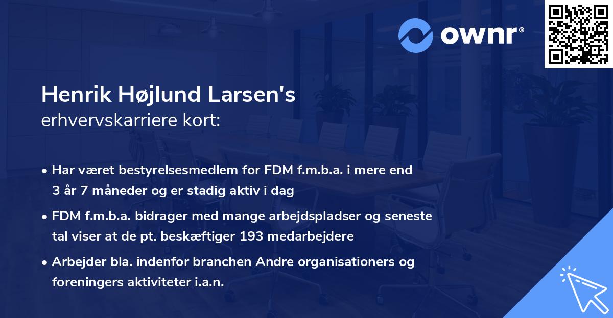 Henrik Højlund Larsen's erhvervskarriere kort