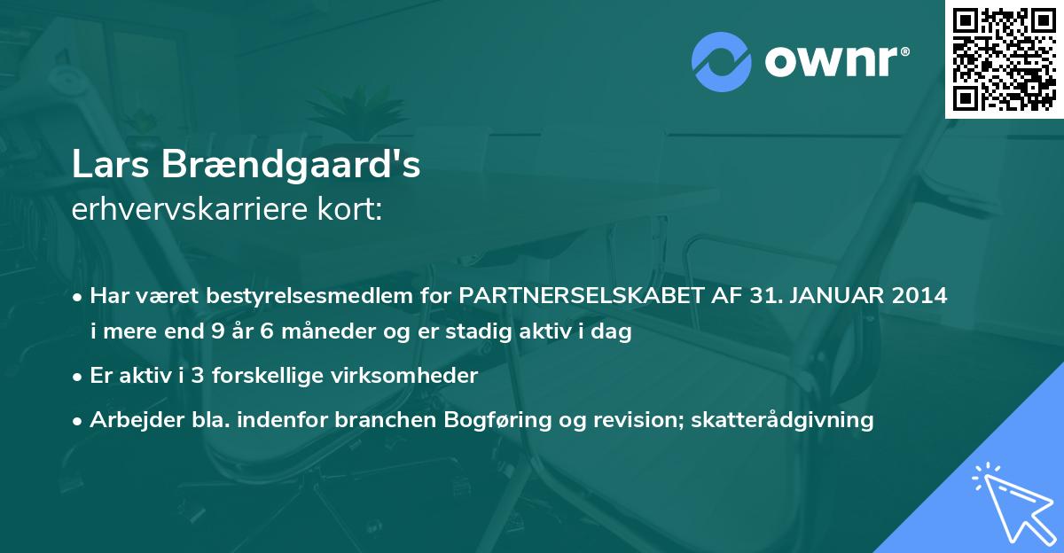 Lars Brændgaard's erhvervskarriere kort