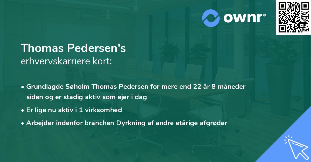 Thomas Pedersen's erhvervskarriere kort
