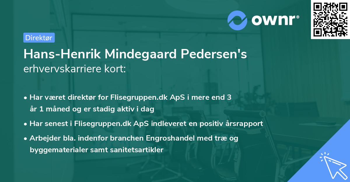 Hans-Henrik Mindegaard Pedersen's erhvervskarriere kort