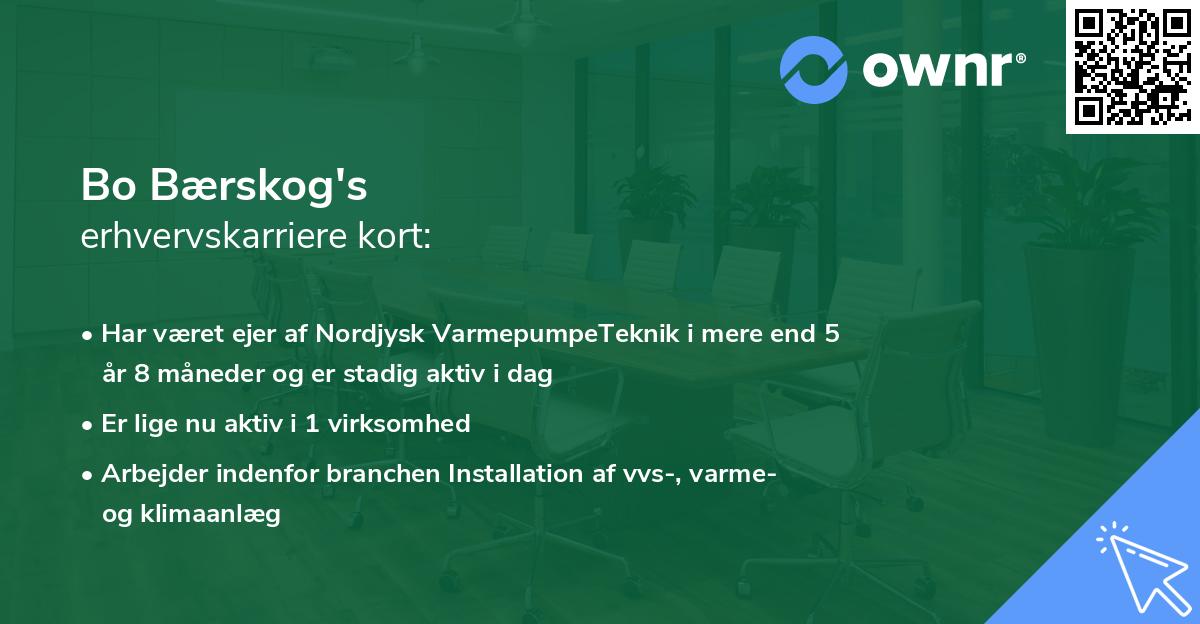 Bo Bærskog's erhvervskarriere kort
