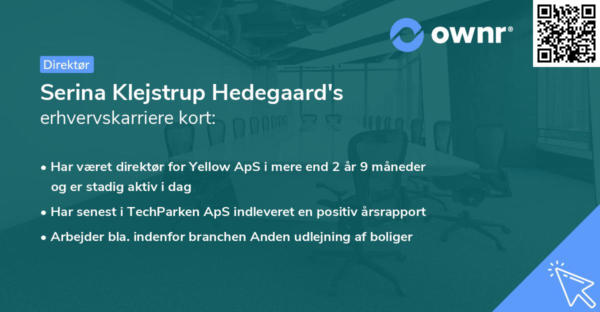 Serina Klejstrup Hedegaard's erhvervskarriere kort