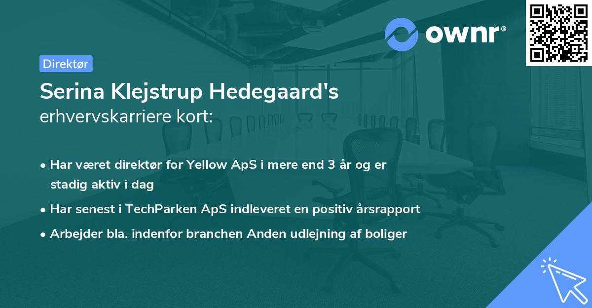 Serina Klejstrup Hedegaard's erhvervskarriere kort