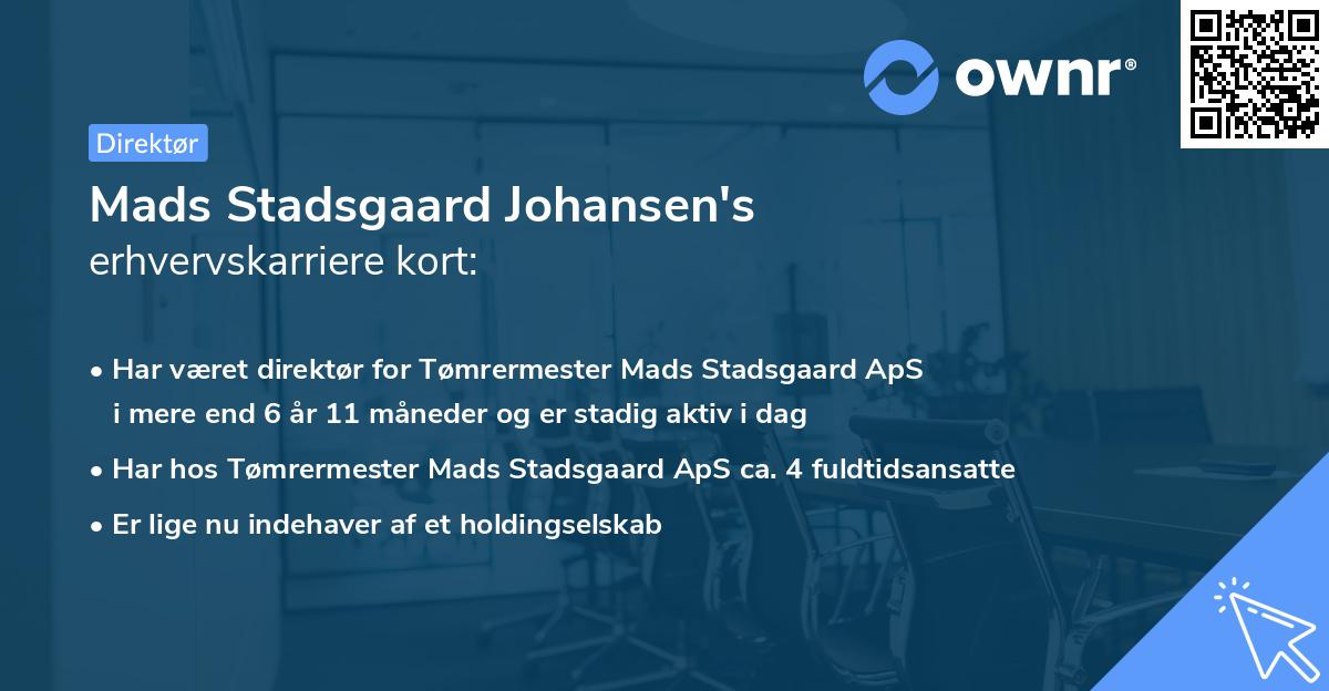 Mads Stadsgaard Johansen's erhvervskarriere kort