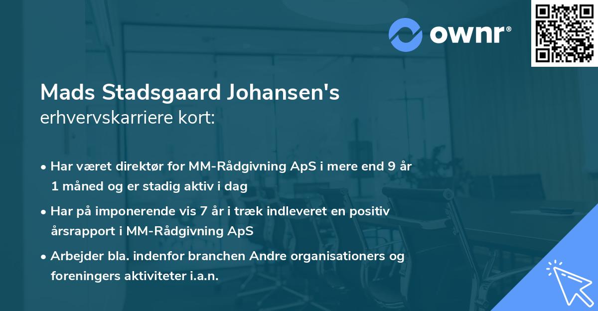 Mads Stadsgaard Johansen's erhvervskarriere kort
