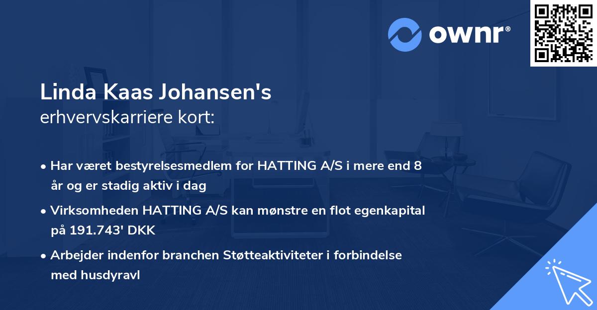 Linda Kaas Johansen's erhvervskarriere kort