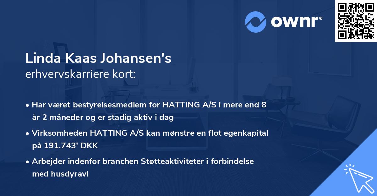 Linda Kaas Johansen's erhvervskarriere kort