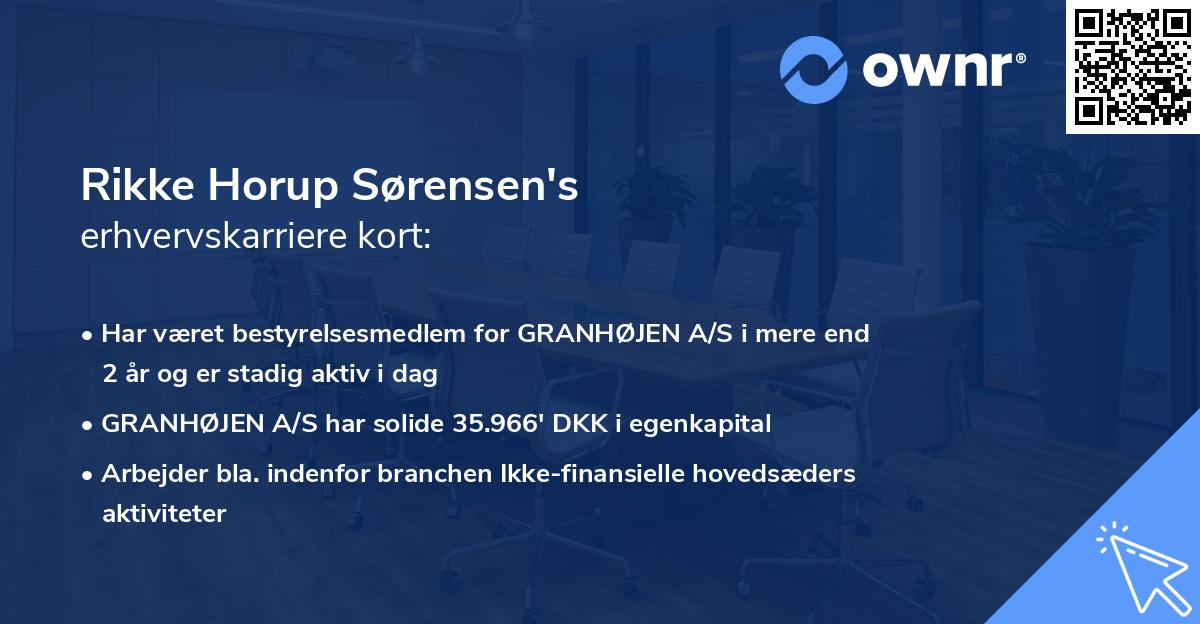 Rikke Horup Sørensen's erhvervskarriere kort