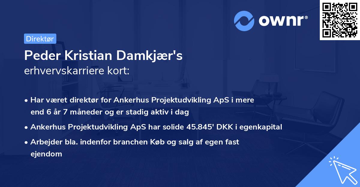 Peder Kristian Damkjær's erhvervskarriere kort