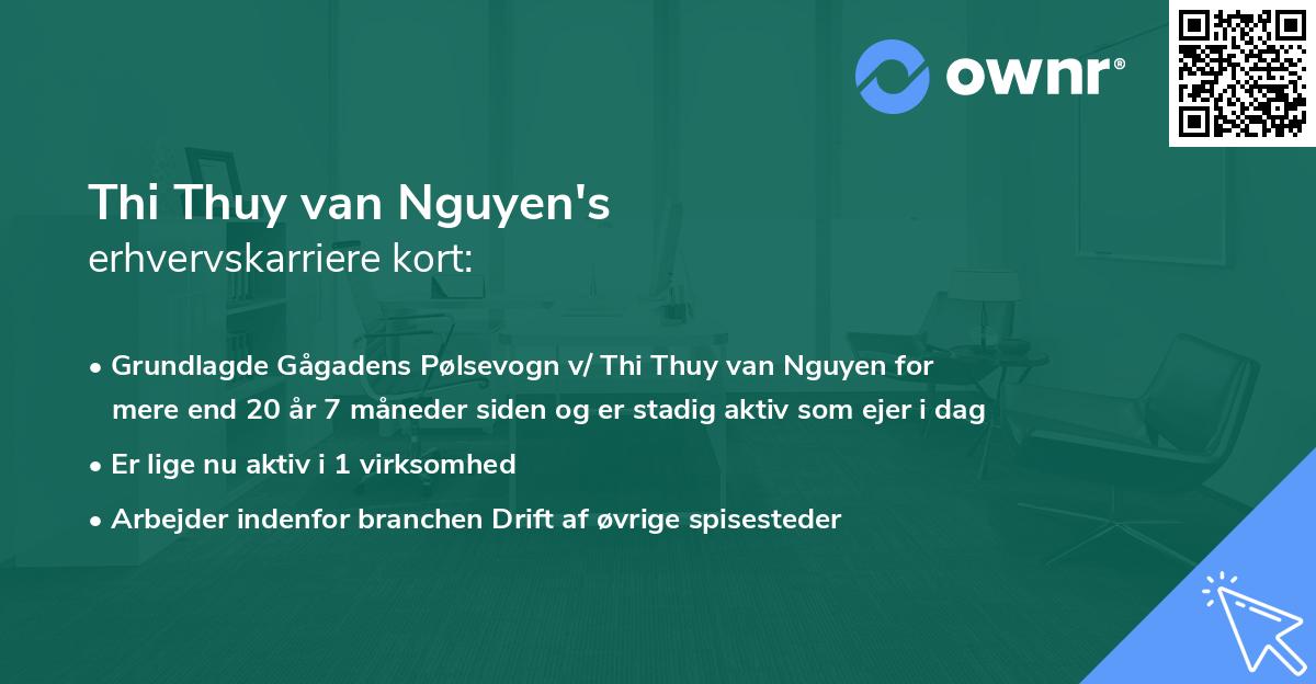 Thi Thuy van Nguyen's erhvervskarriere kort