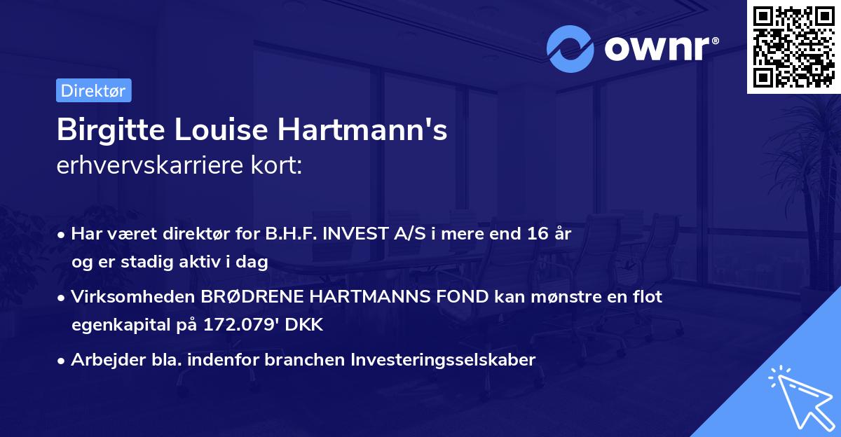 Birgitte Louise Hartmann's erhvervskarriere kort