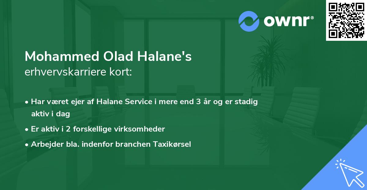 Mohammed Olad Halane's erhvervskarriere kort