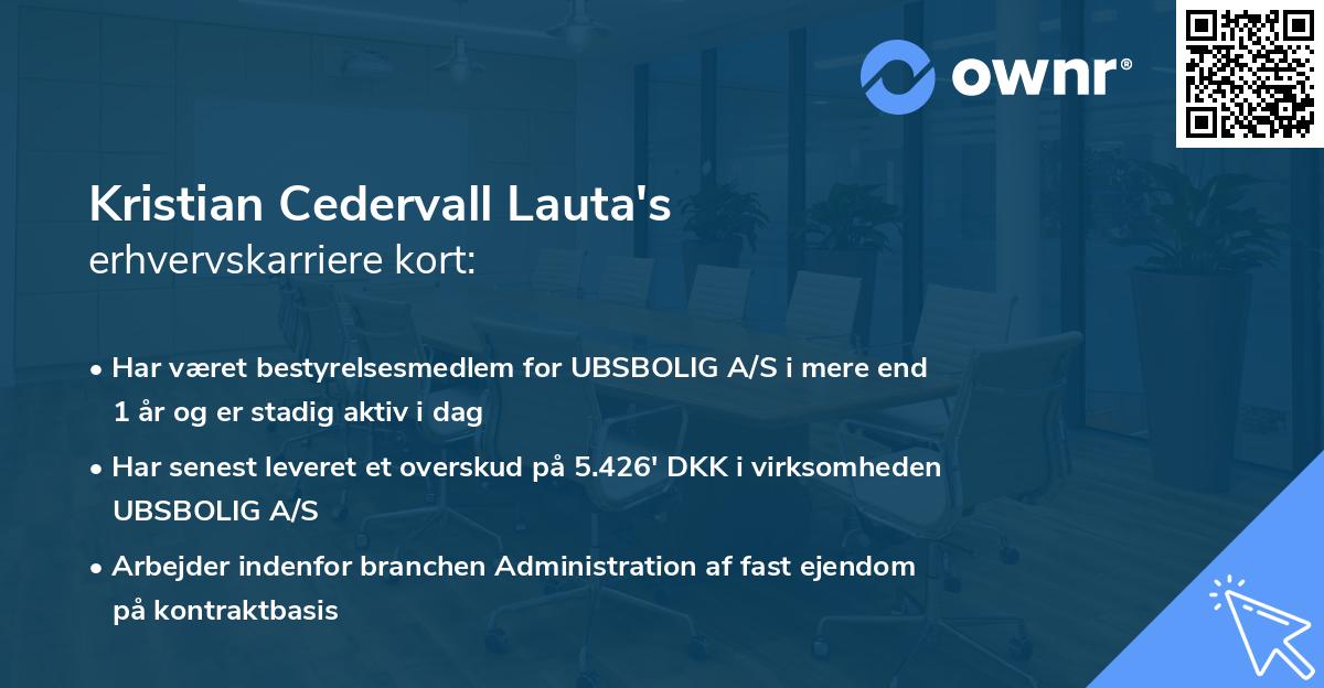 Kristian Cedervall Lauta's erhvervskarriere kort