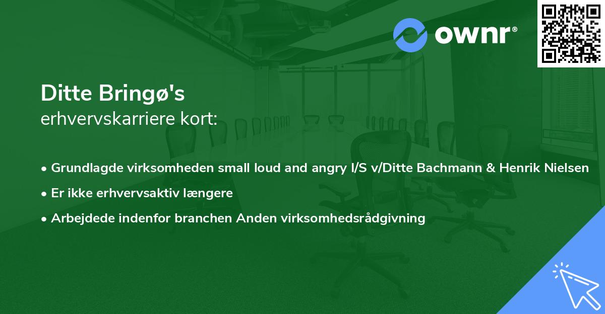 Ditte Bringø's erhvervskarriere kort