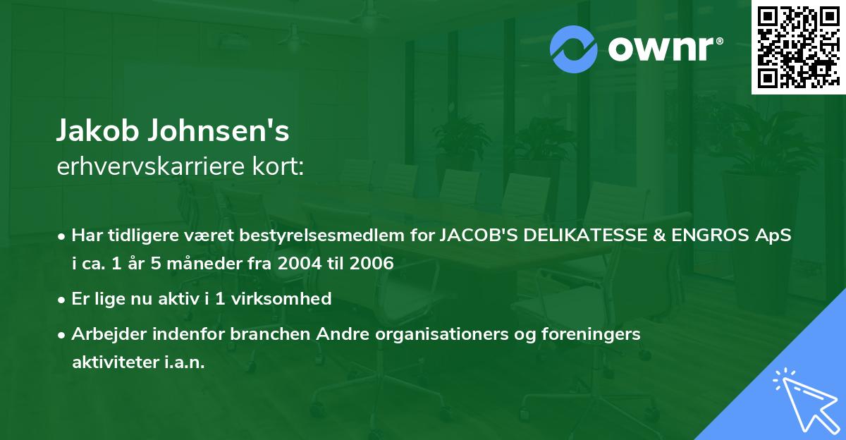 Jakob Johnsen's erhvervskarriere kort