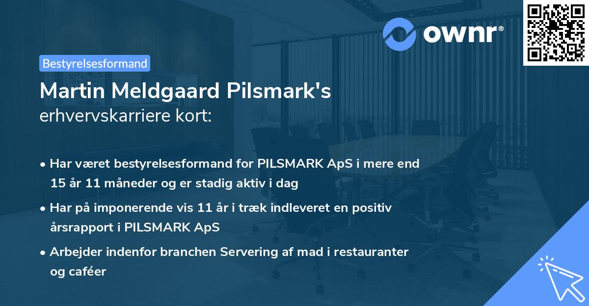 Martin Meldgaard Pilsmark's erhvervskarriere kort