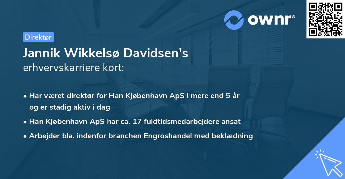 Jannik Wikkelsø Davidsen's erhvervskarriere kort