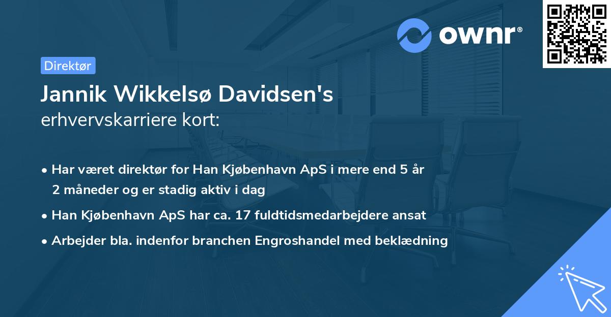 Jannik Wikkelsø Davidsen's erhvervskarriere kort