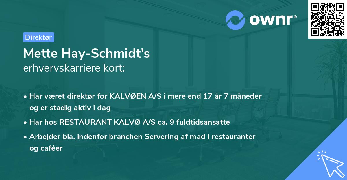 Mette Hay-Schmidt's erhvervskarriere kort