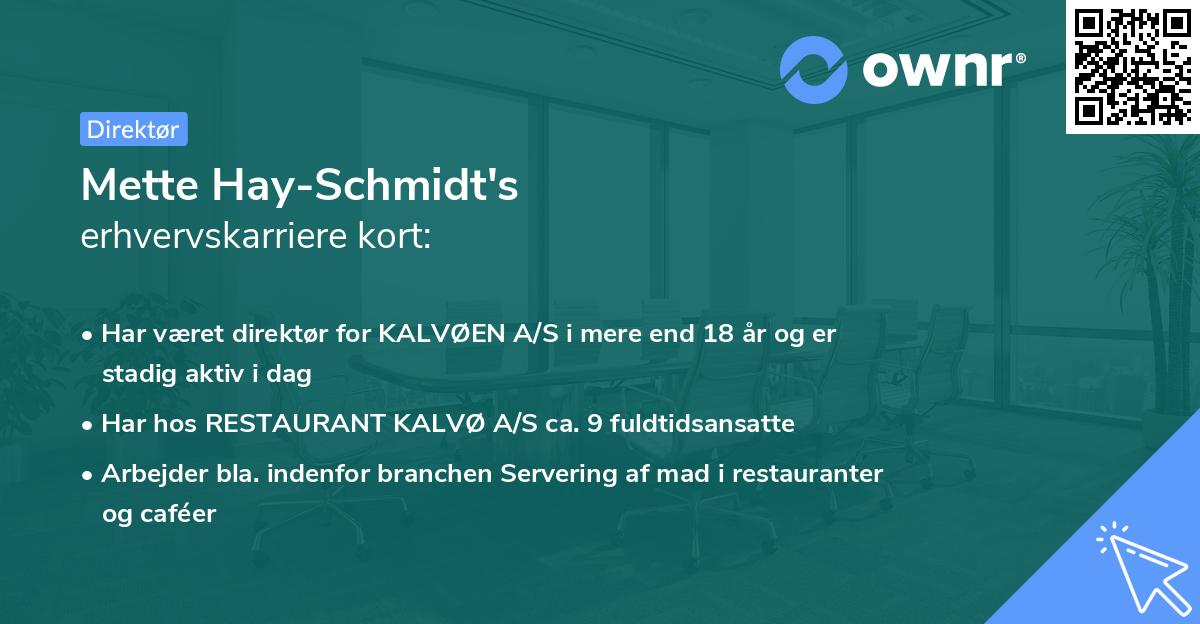 Mette Hay-Schmidt's erhvervskarriere kort