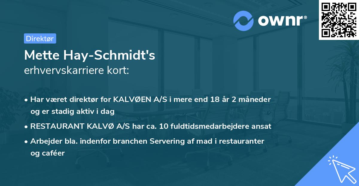 Mette Hay-Schmidt's erhvervskarriere kort