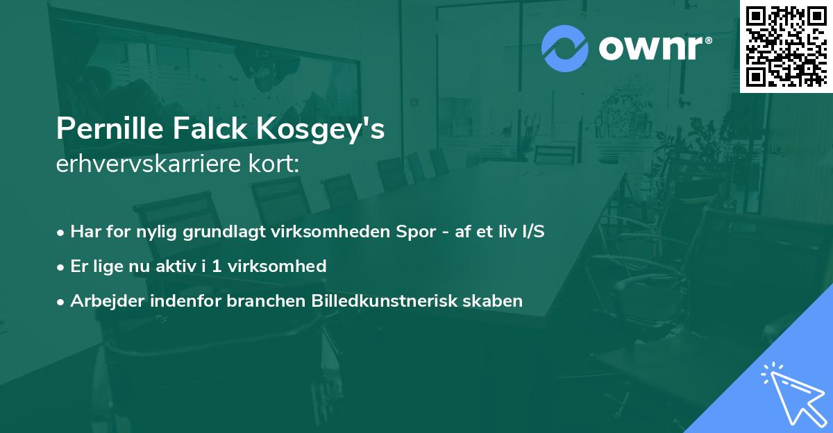 Pernille Falck Kosgey's erhvervskarriere kort