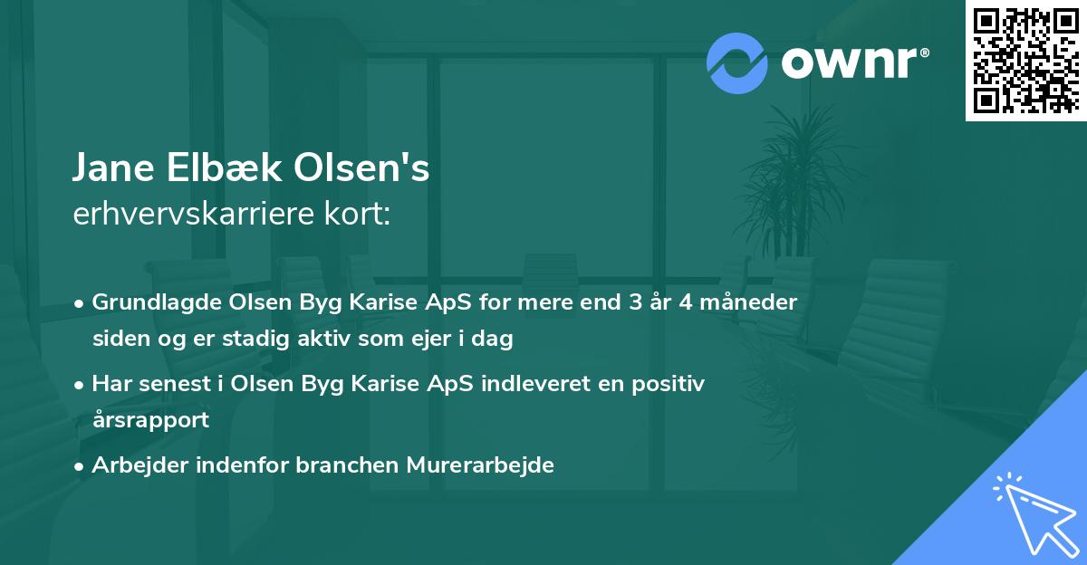 Jane Elbæk Olsen's erhvervskarriere kort
