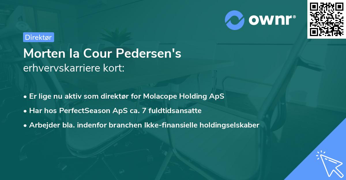 Morten la Cour Pedersen's erhvervskarriere kort