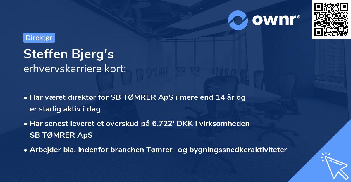 Steffen Bjerg's erhvervskarriere kort