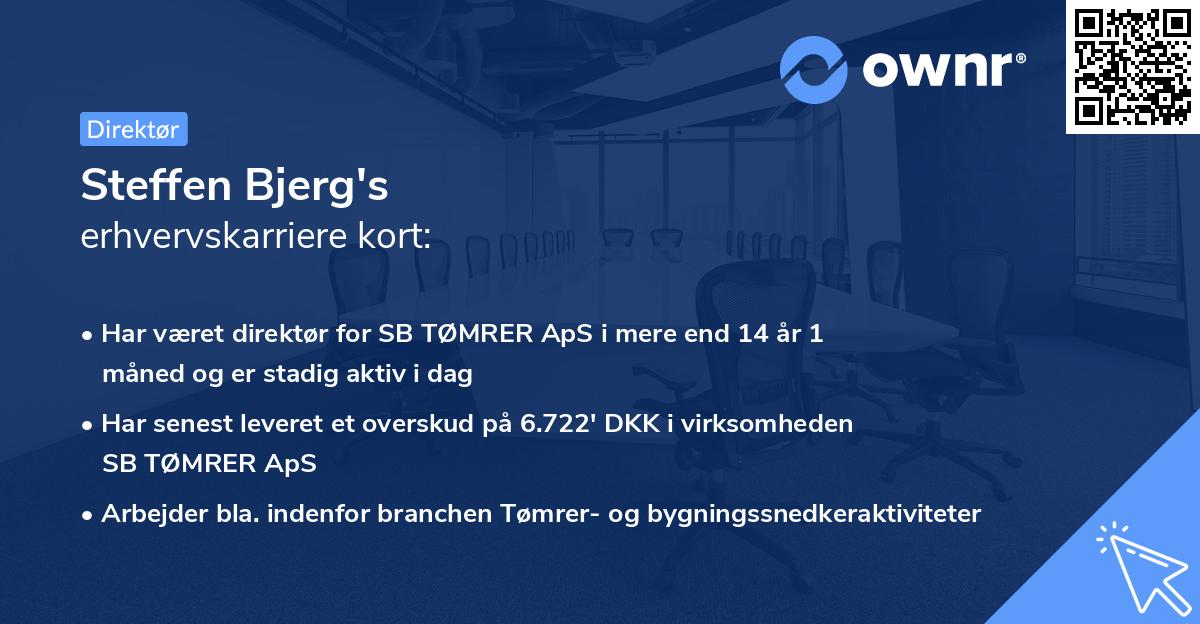 Steffen Bjerg's erhvervskarriere kort