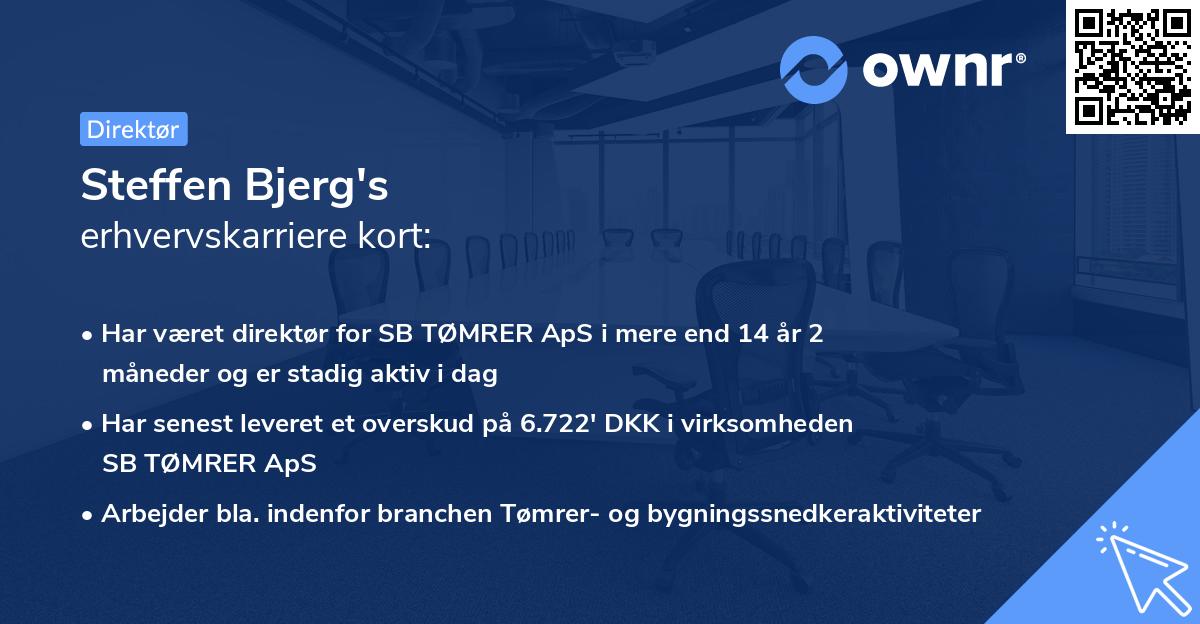 Steffen Bjerg's erhvervskarriere kort