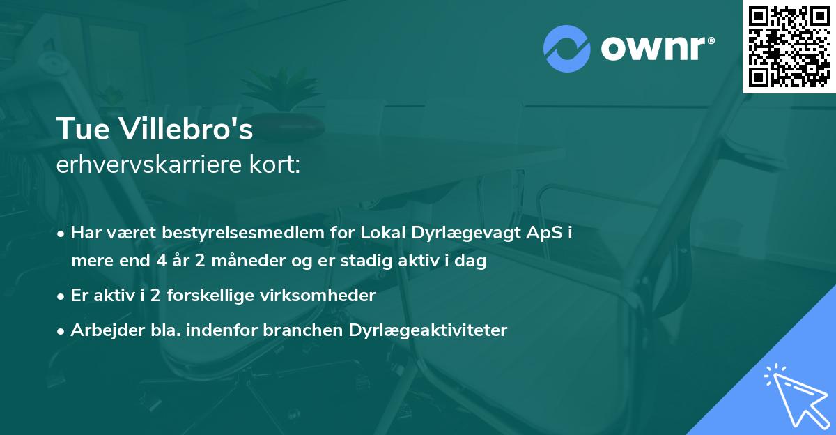 Tue Villebro's erhvervskarriere kort