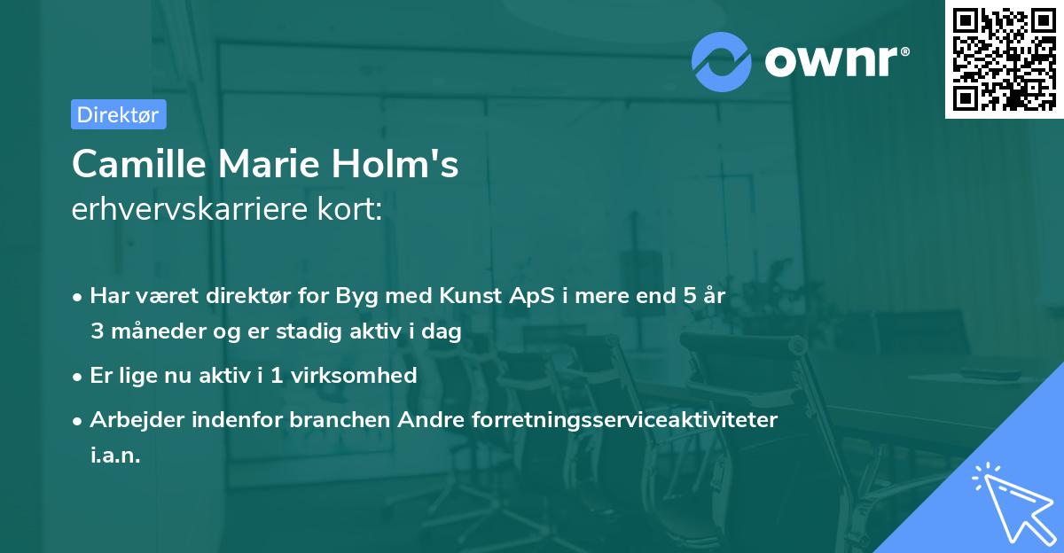 Camille Marie Holm's erhvervskarriere kort