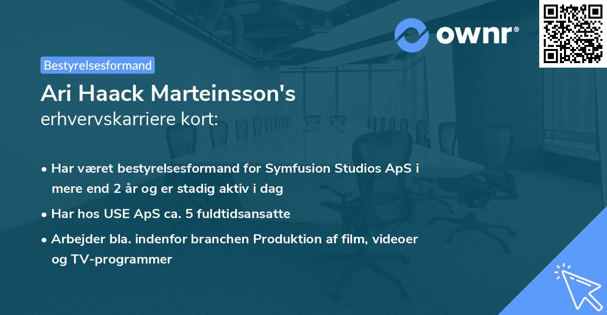 Ari Haack Marteinsson's erhvervskarriere kort