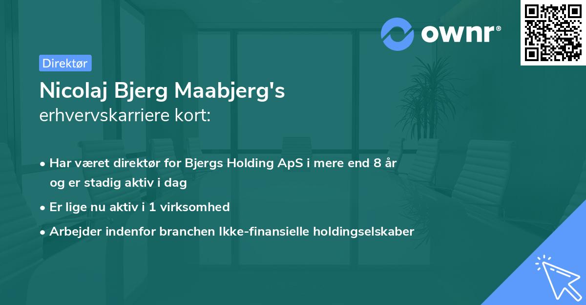 Nicolaj Bjerg Maabjerg's erhvervskarriere kort