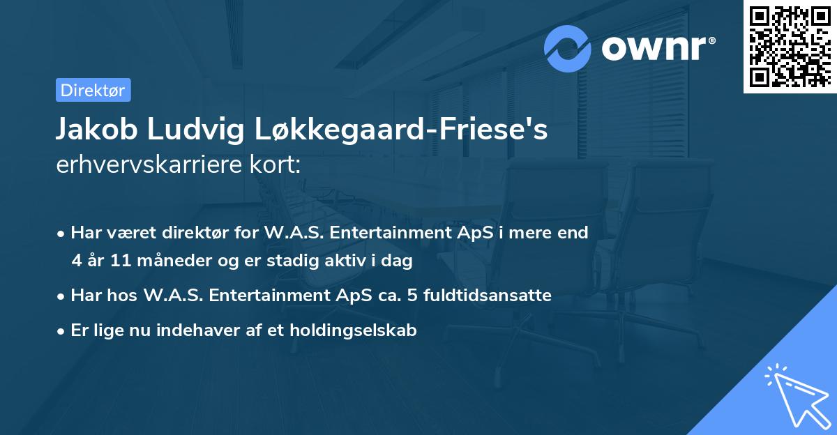 Jakob Ludvig Løkkegaard-Friese's erhvervskarriere kort