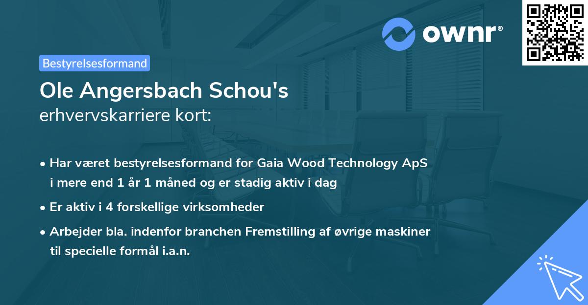 Ole Angersbach Schou's erhvervskarriere kort